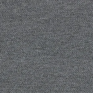 Moonlet.webp