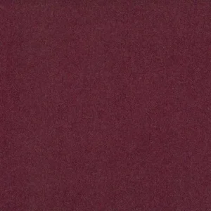 Plum.webp