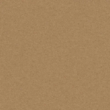 Plain brown cardboard surface.