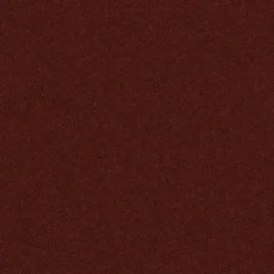 Sienna.webp