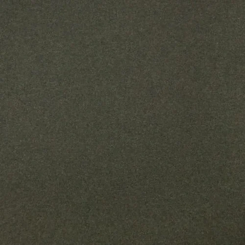 Olive.webp
