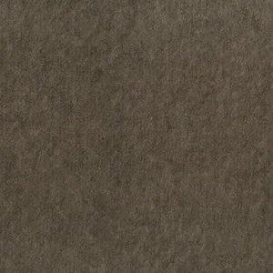 Terra.webp