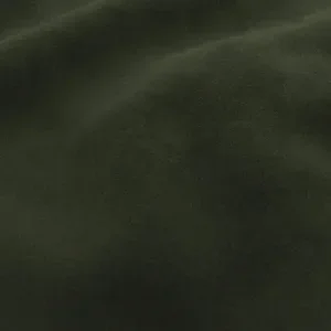 Vine.webp