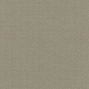 222.webp