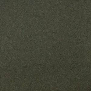 Olive.webp