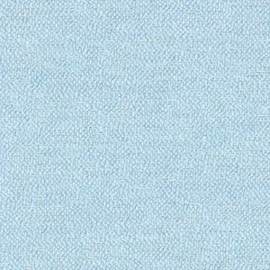 Kite.webp