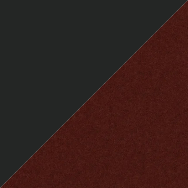 Ace Black - Sienna.png