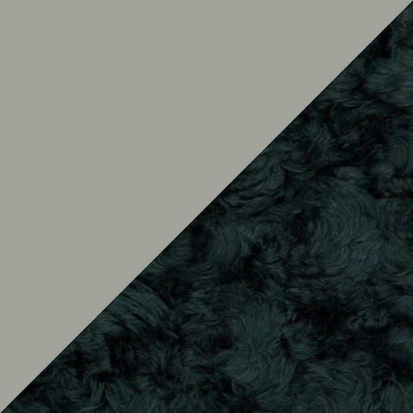 APO Grey - Argo 2 0982.png