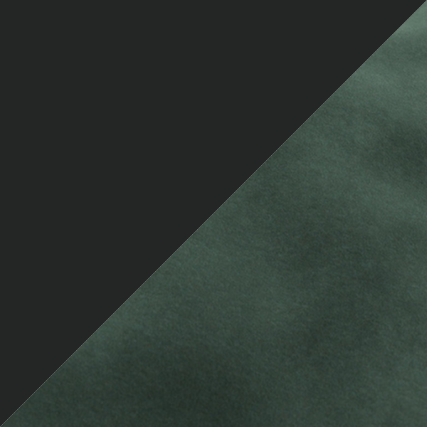 Ace Black - Ivy.png