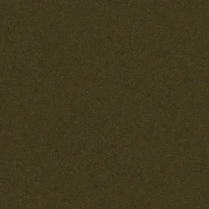 Olive.webp