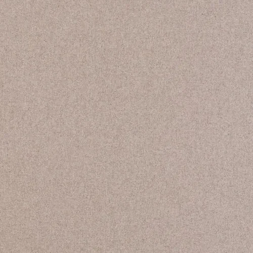 Birch.webp
