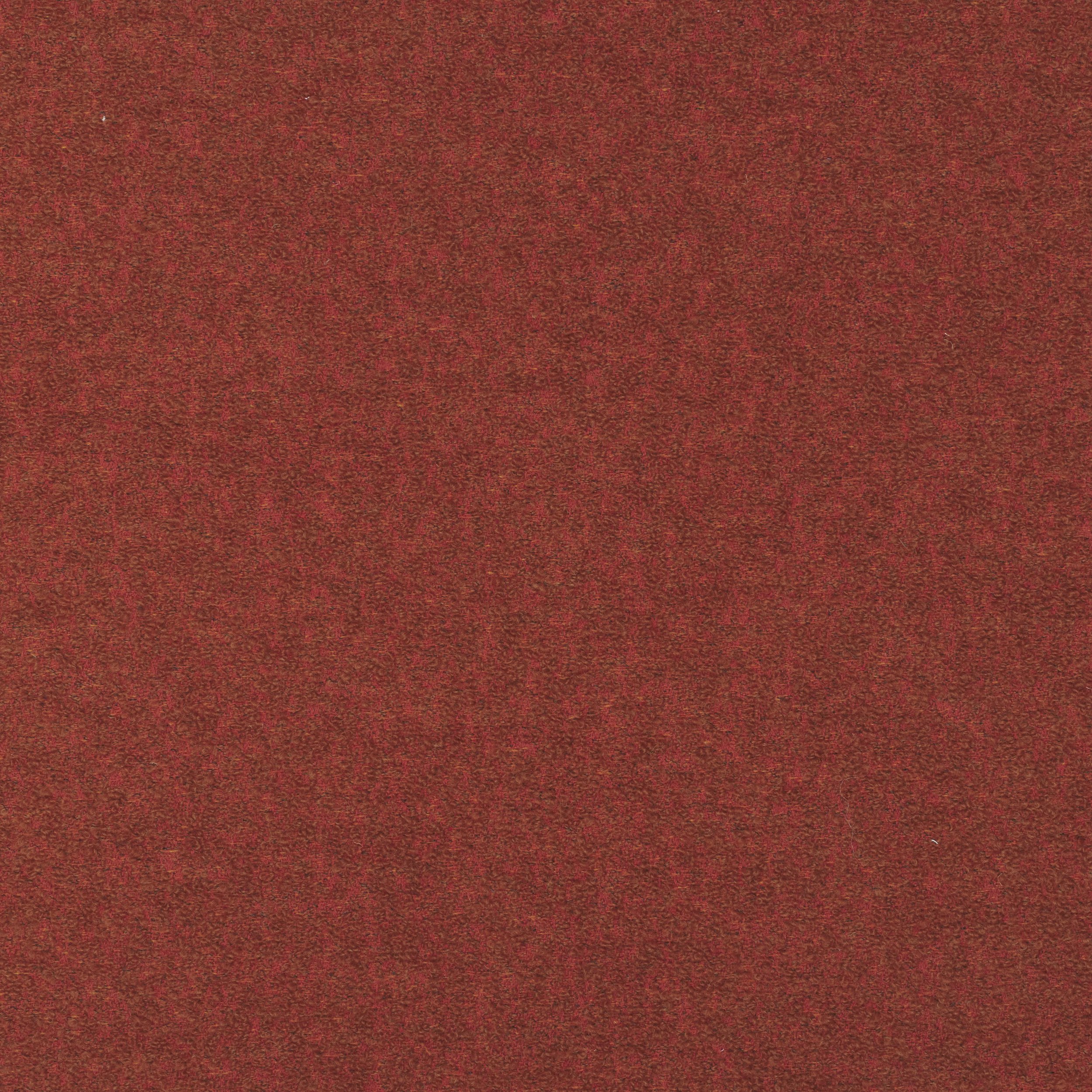Close-up view of a reddish-brown textured surface, resembling a rough or granular material.