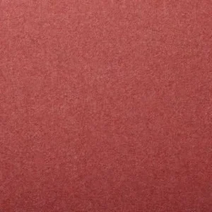 Pimpernel.webp