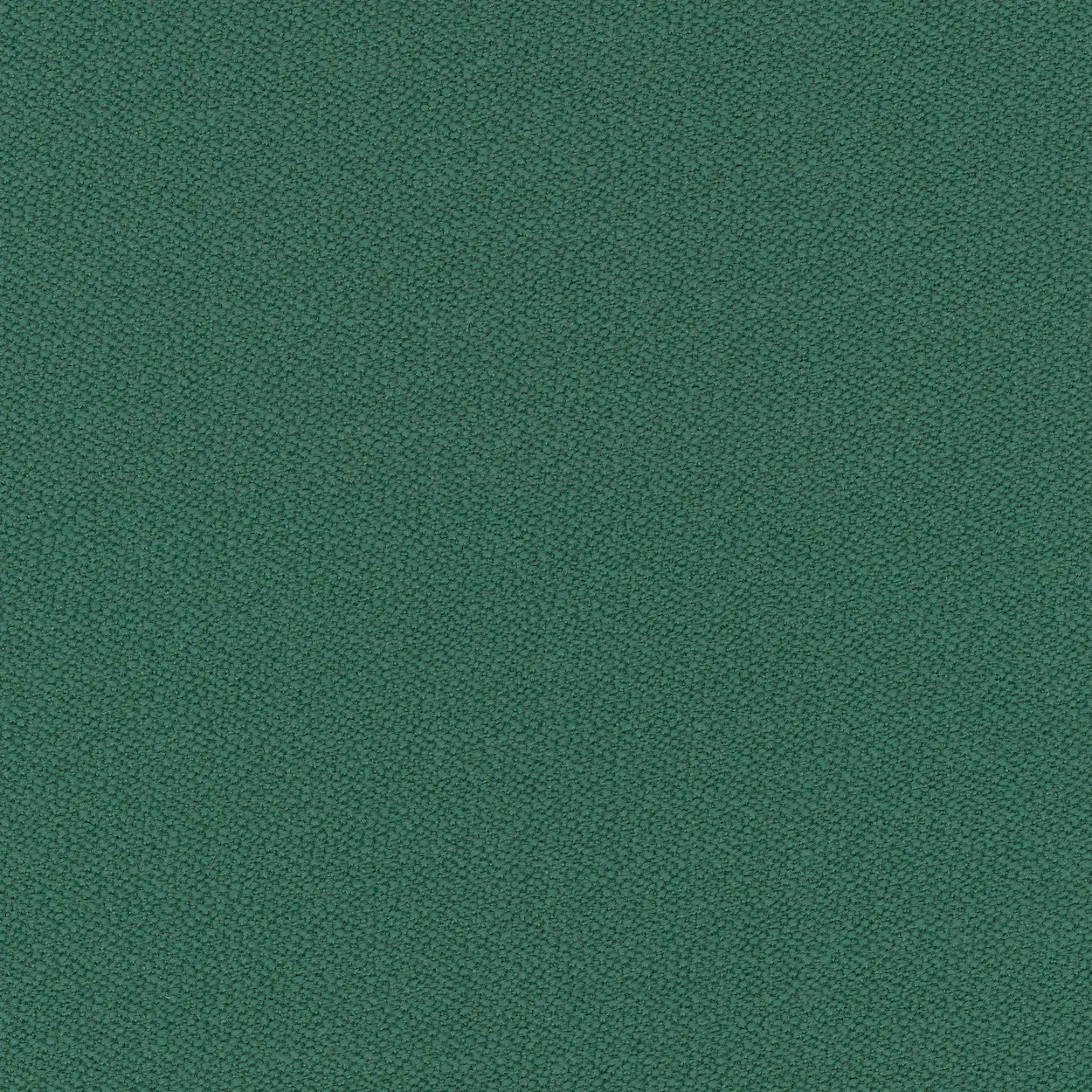 Green textured surface with small raised dots evenly distributed.