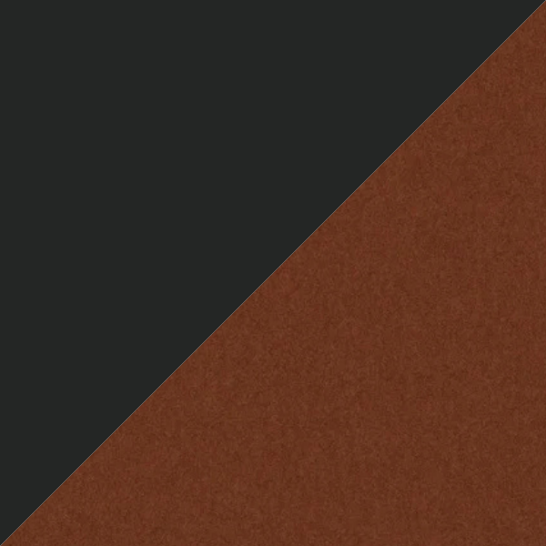 Ace Black - Burnt Orange.png