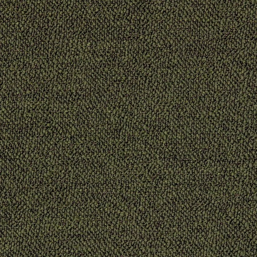 Downfield.jpg