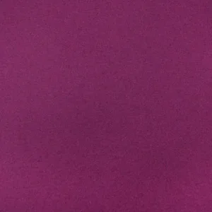 Fuchsia.webp