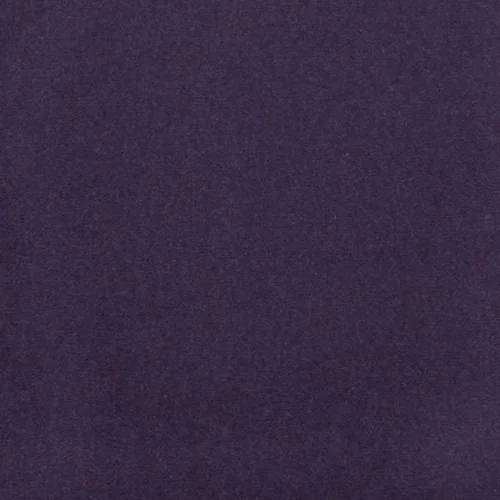 Eggplant.webp