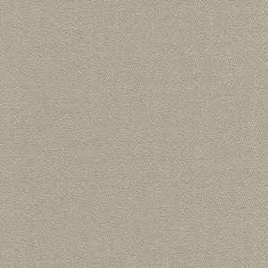 146.webp