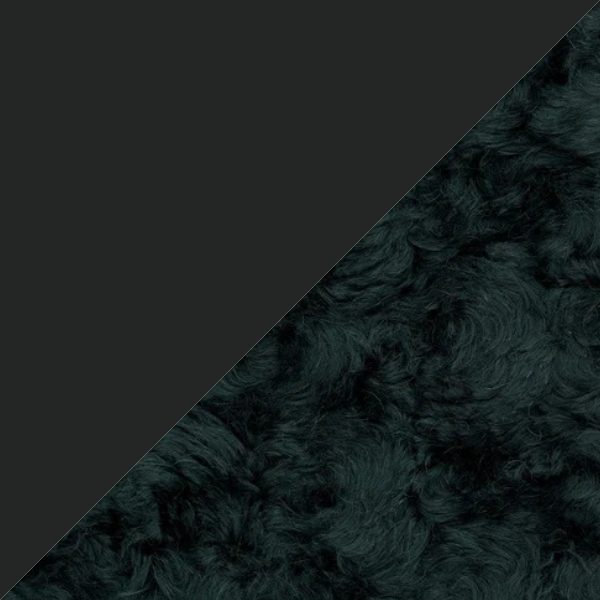 Ace Black - Argo 2 0982.png