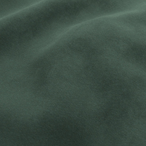 Ivy.webp