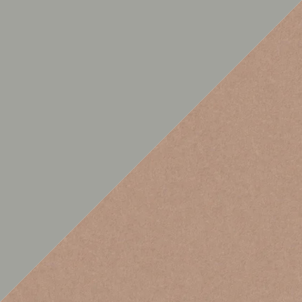 APO Grey - Nude.png