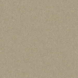 Almond.webp