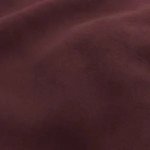 Pinot+Noir.webp