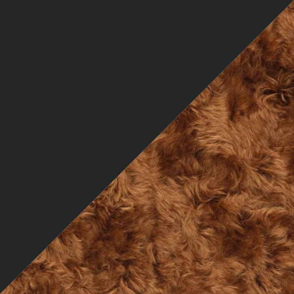 Ace Black - Argo 2 0343.png