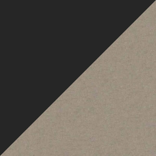 Ace Black - Porcini.png