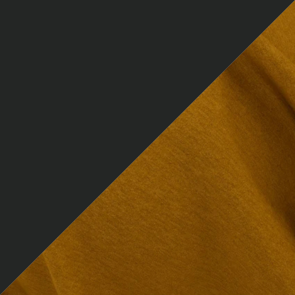 Ace Black - Ochre.png