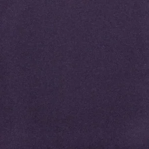 Eggplant.webp