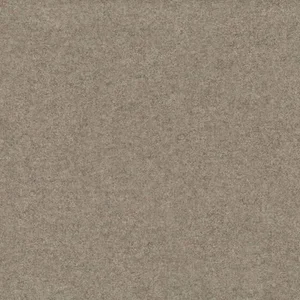 Pumice.webp