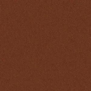 Burnt Orange.webp