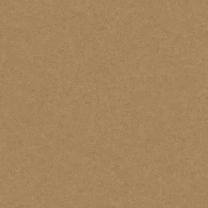 Camel.webp