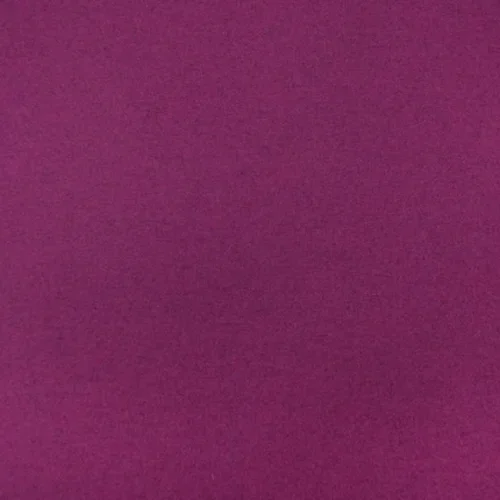 Fuschia.webp