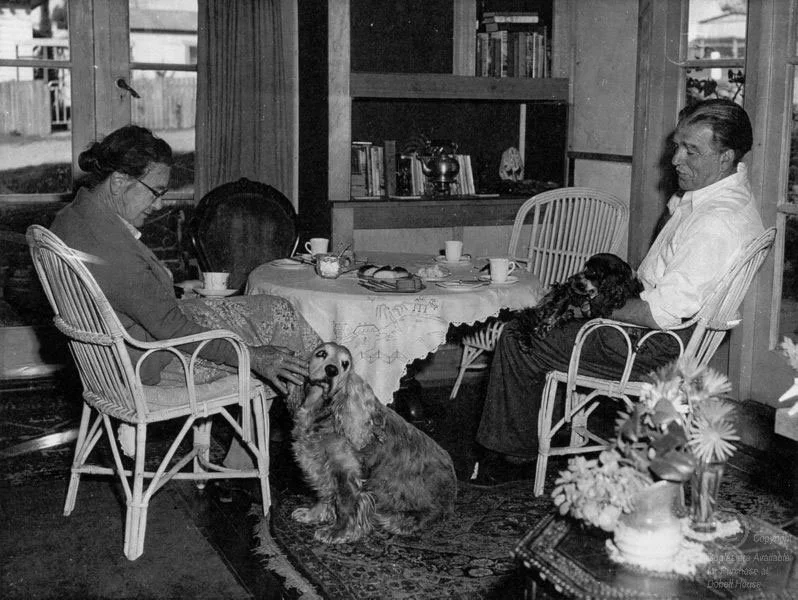 A black and whit photo of an older man and woman sitting at a table. The table has cups of tea. On his lap is an older looking English Springer Spaniel. And at the feet of the lady is another, larger, English Springer Spaniel