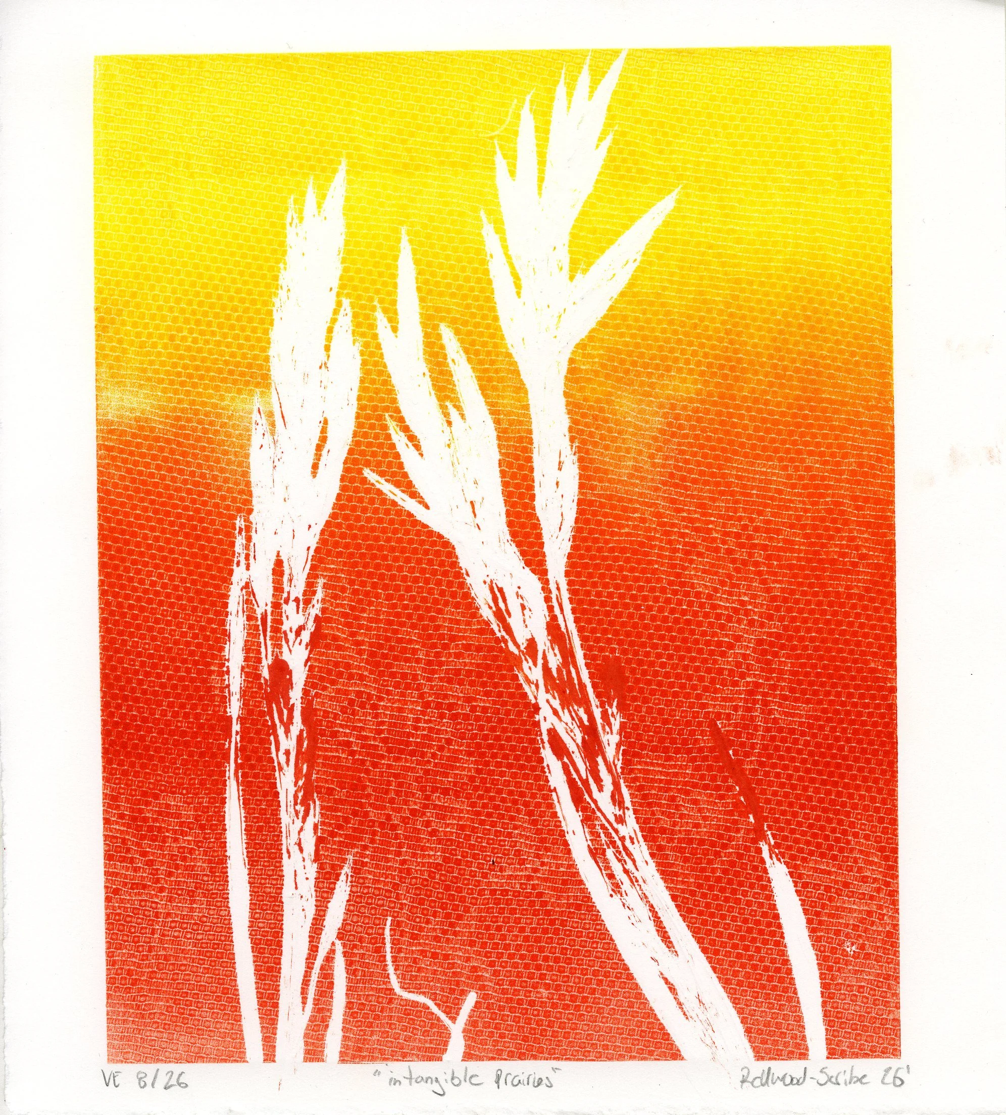 intagible prairies 8_26.jpg