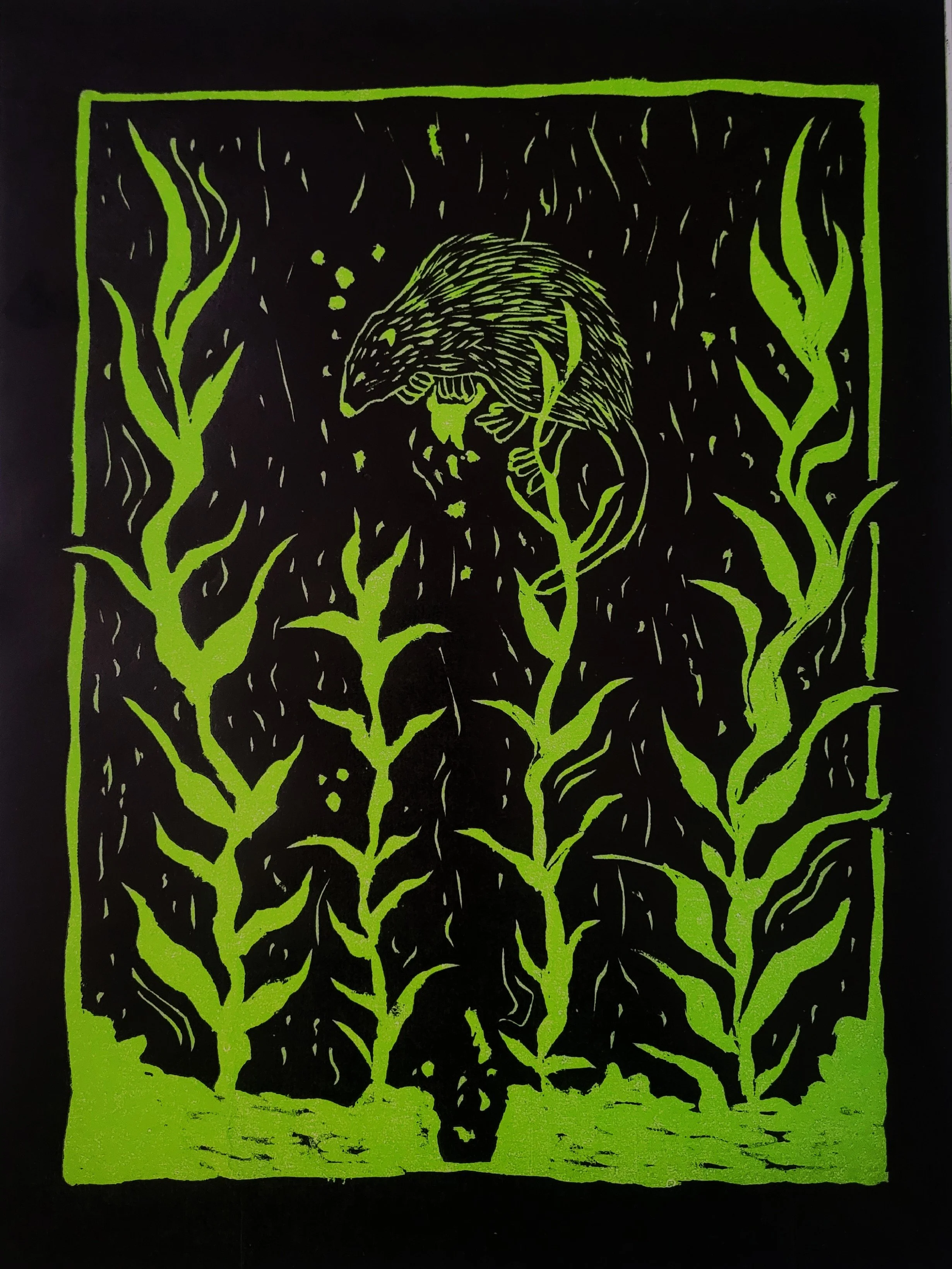 "muskrat's sacrifice" 2025