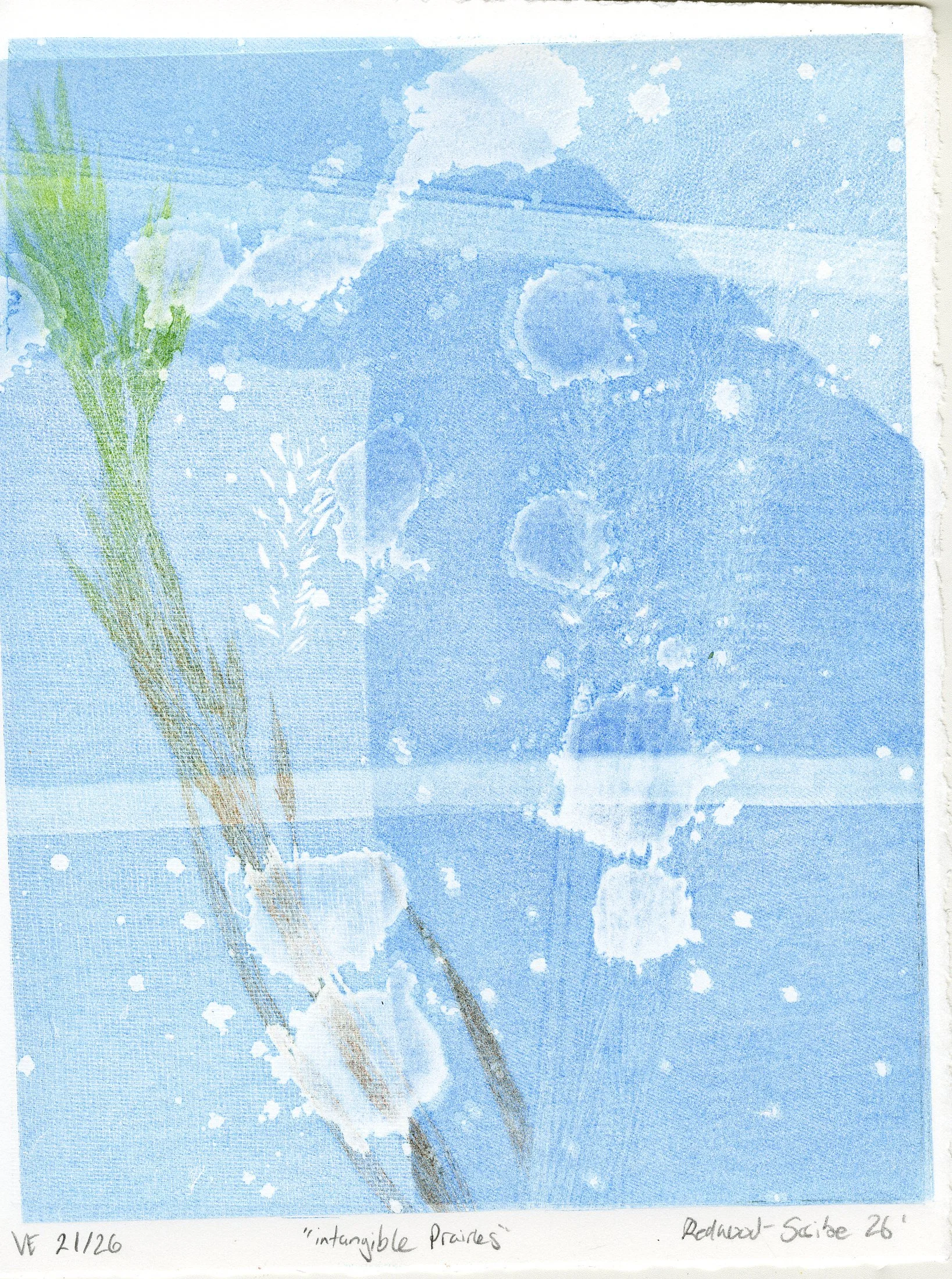intagible prairies 21_26.jpg