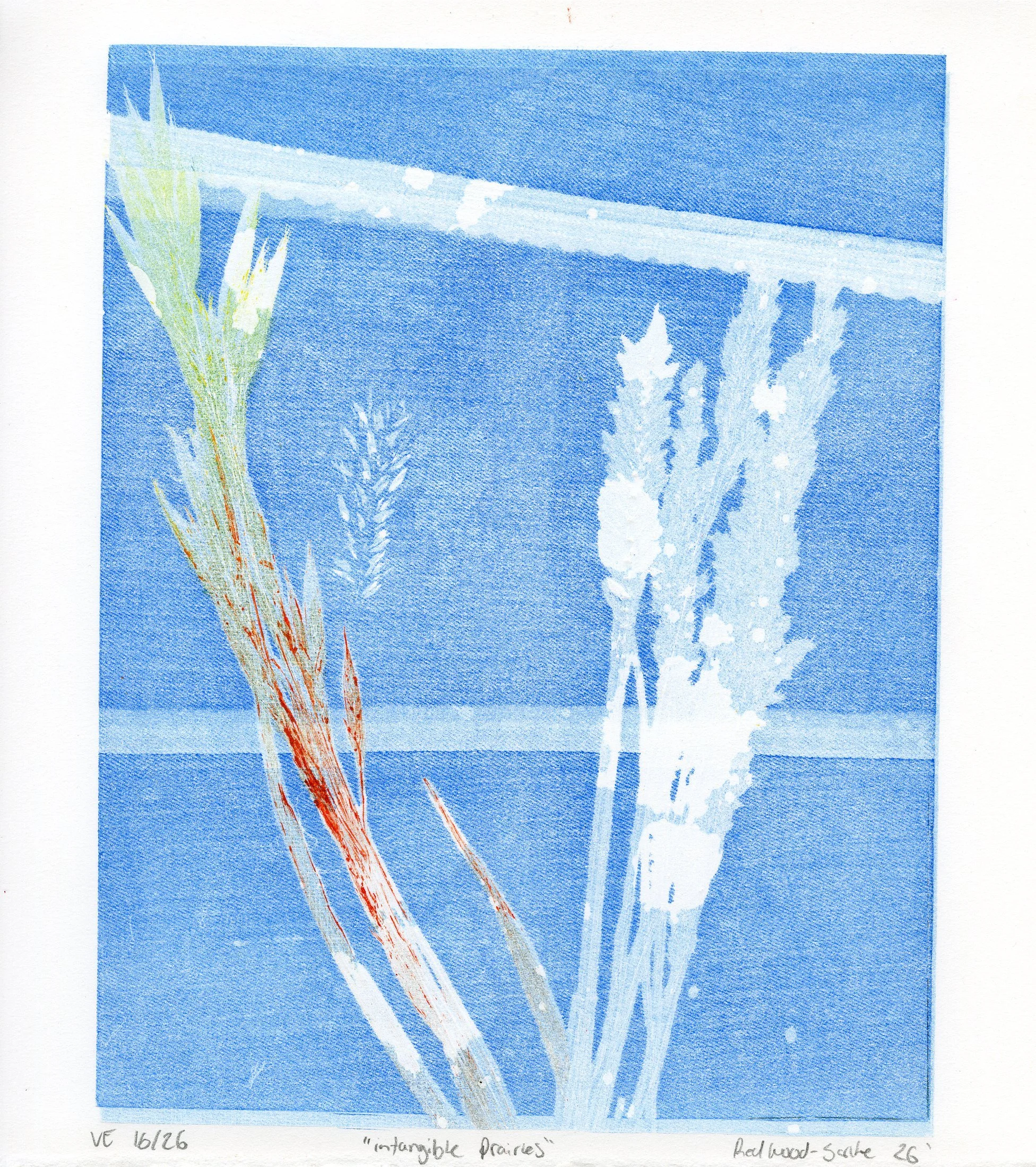 intagible prairies 16_26.jpg