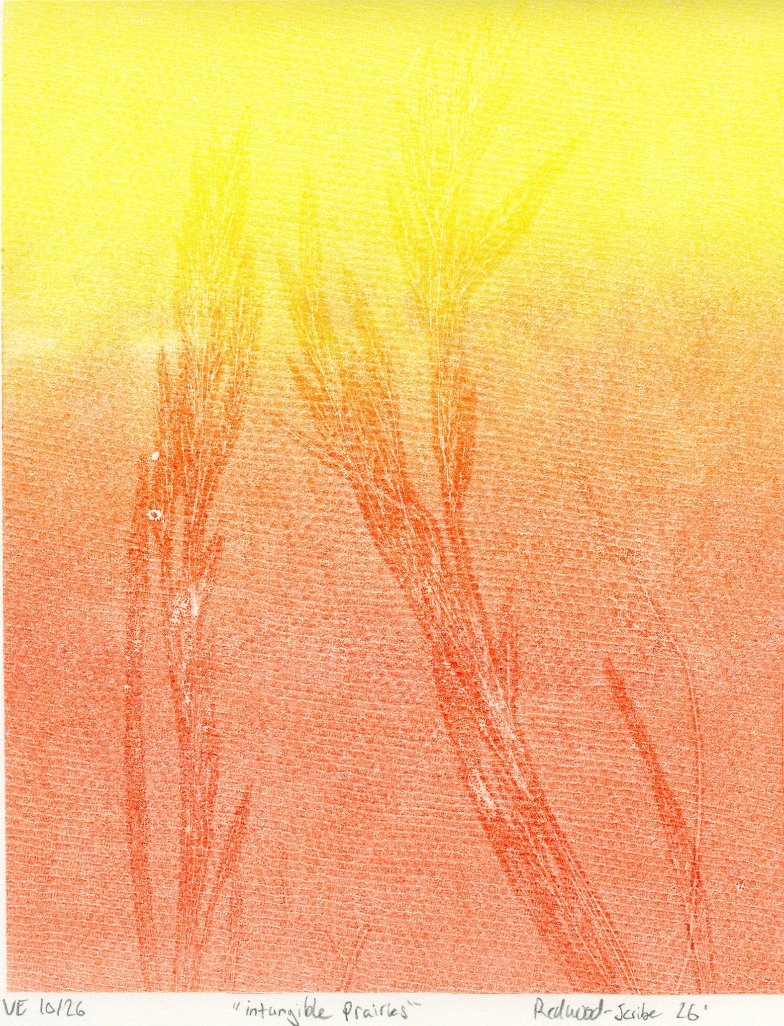 intagible prairies 10_26.jpg