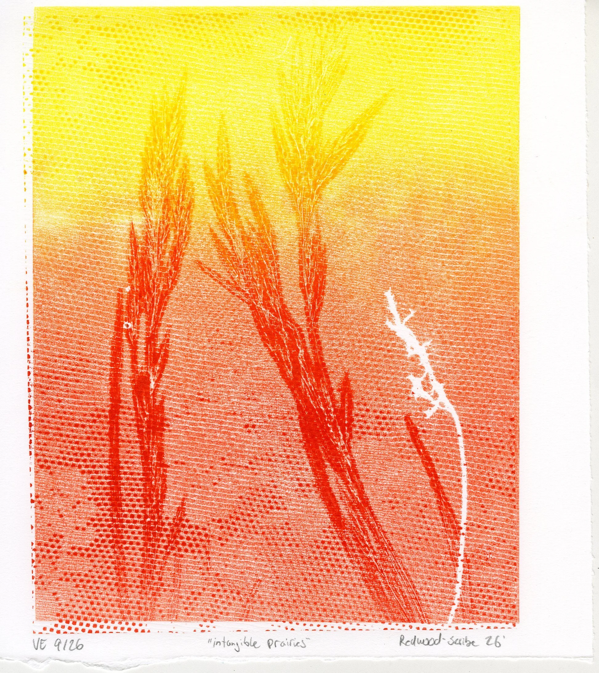 intagible prairies 9_26.jpg