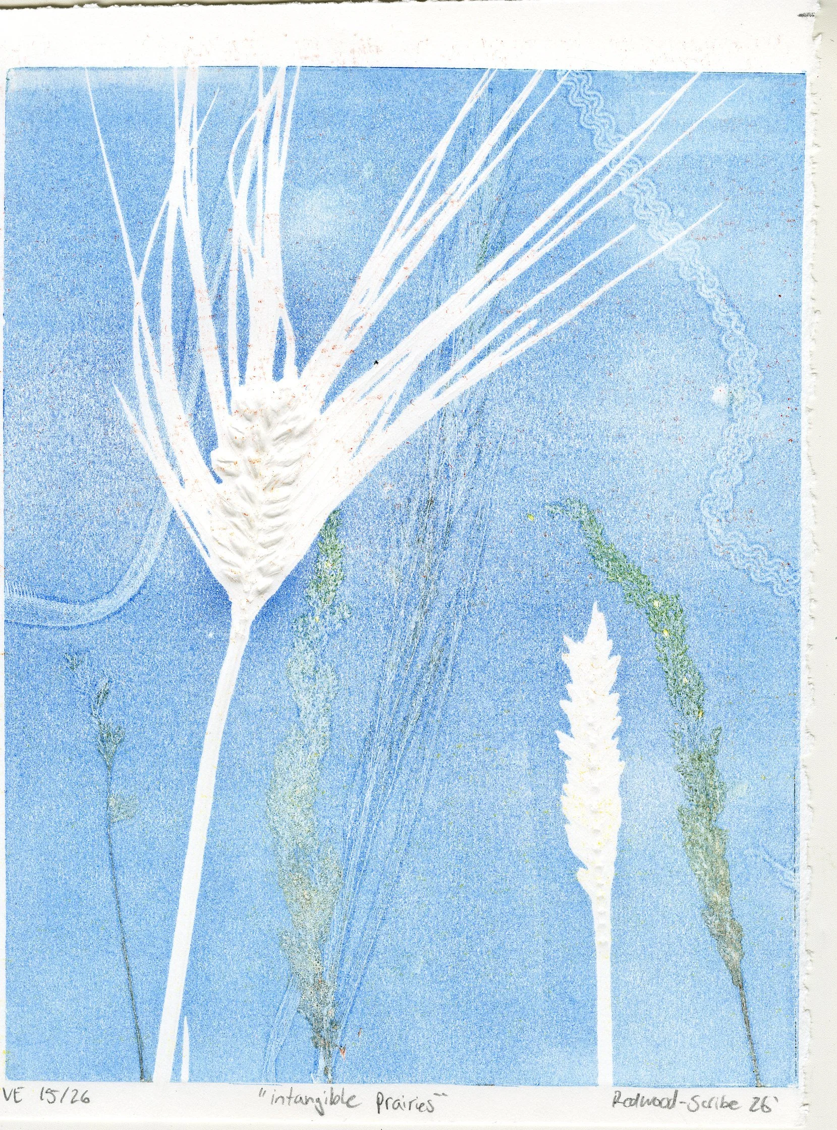 intagible prairies 15_26.jpg