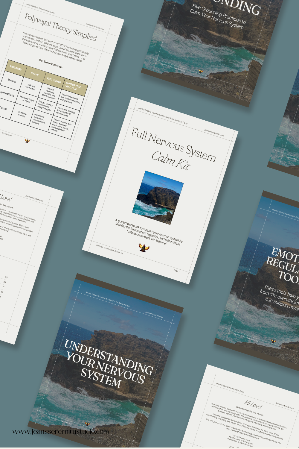 Full nervous system Calm kit (1).png