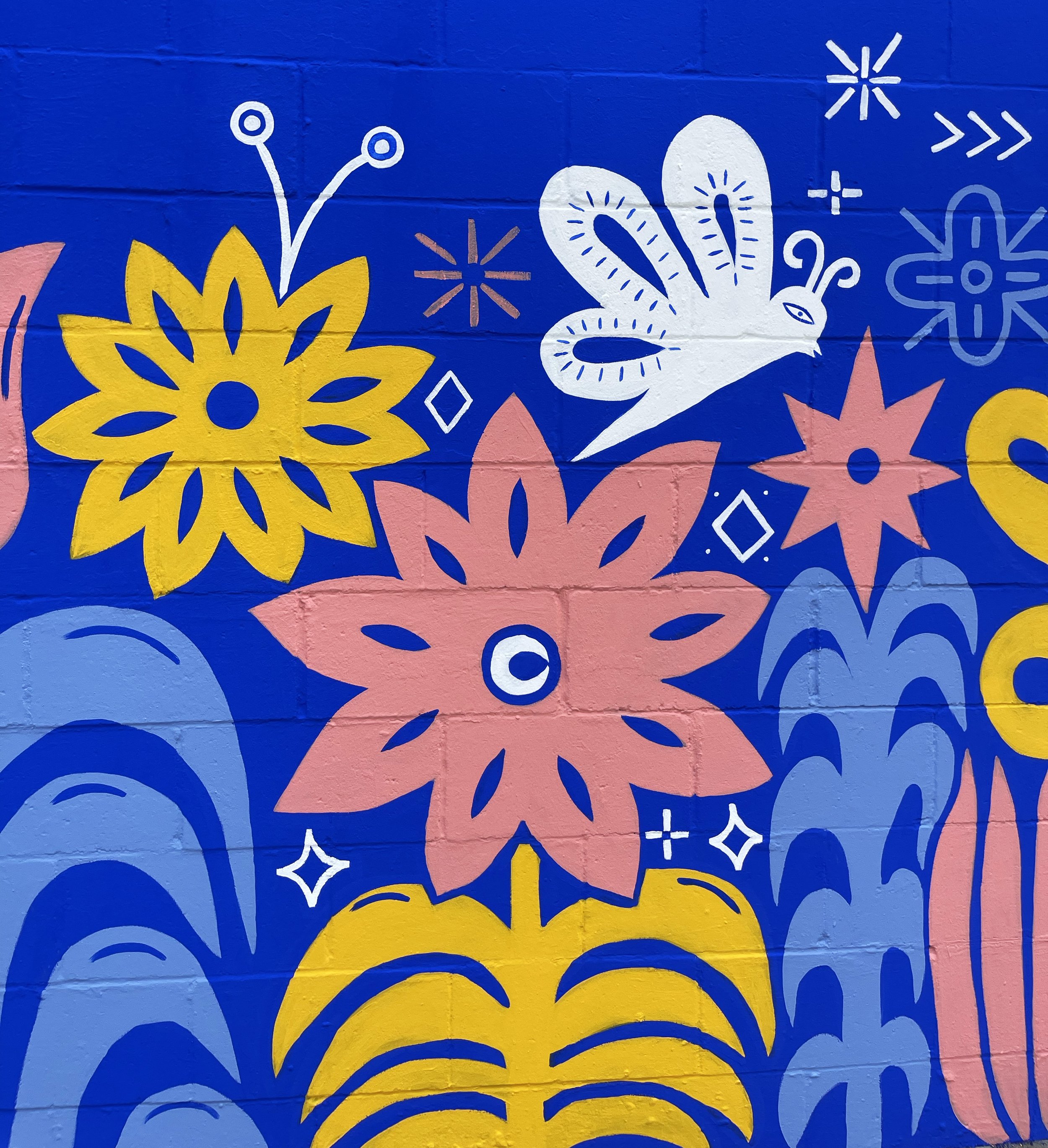 anothercloseup1.jpg