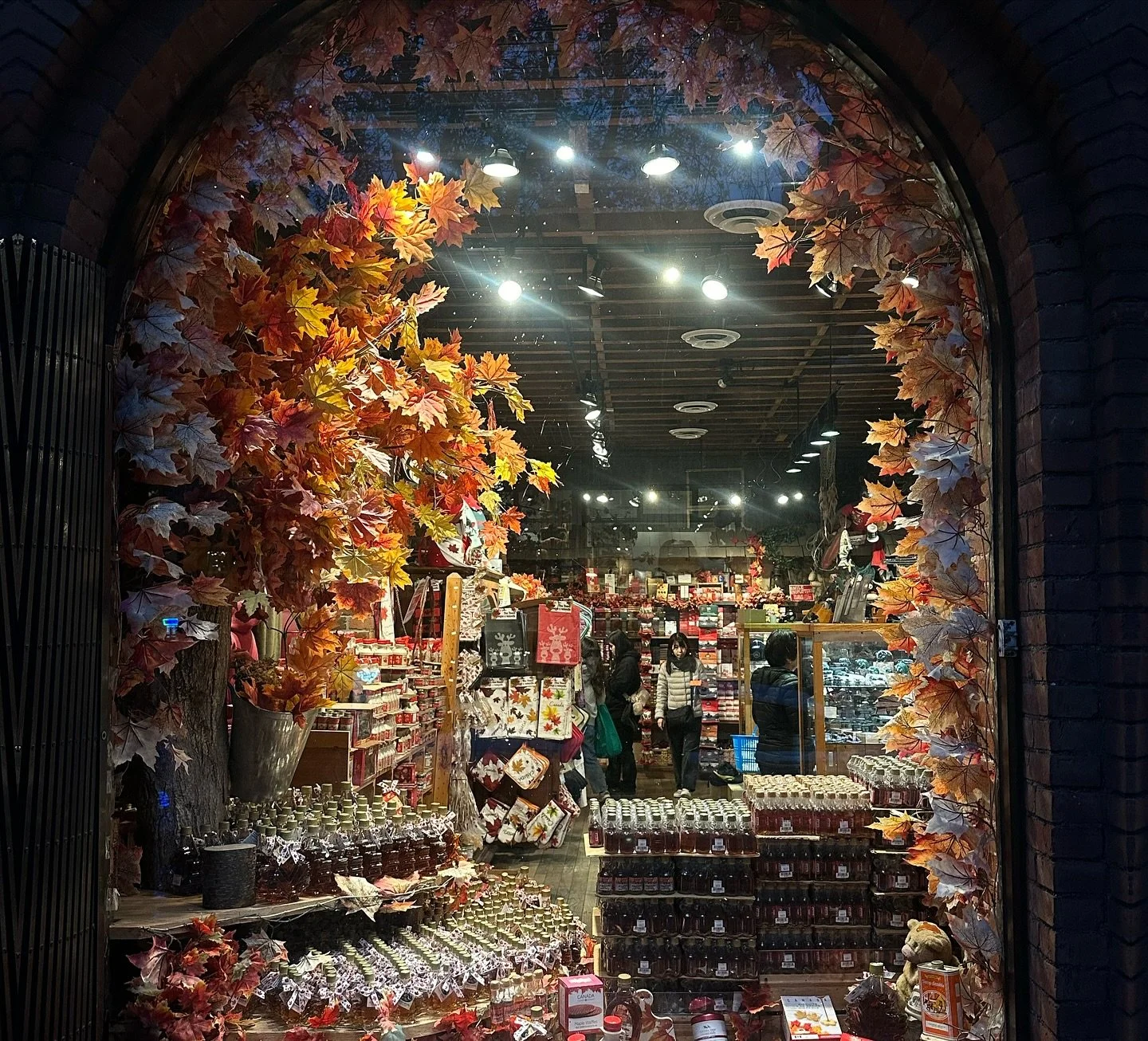 Day 1 was an absolute blast, so many laughs and fun times with a great bunch of people. Bring on the @skippingsensations FVC camp this weekend 🇨🇦💪
#jumprope #friends #skipping #camp #canada #vancouver #fun