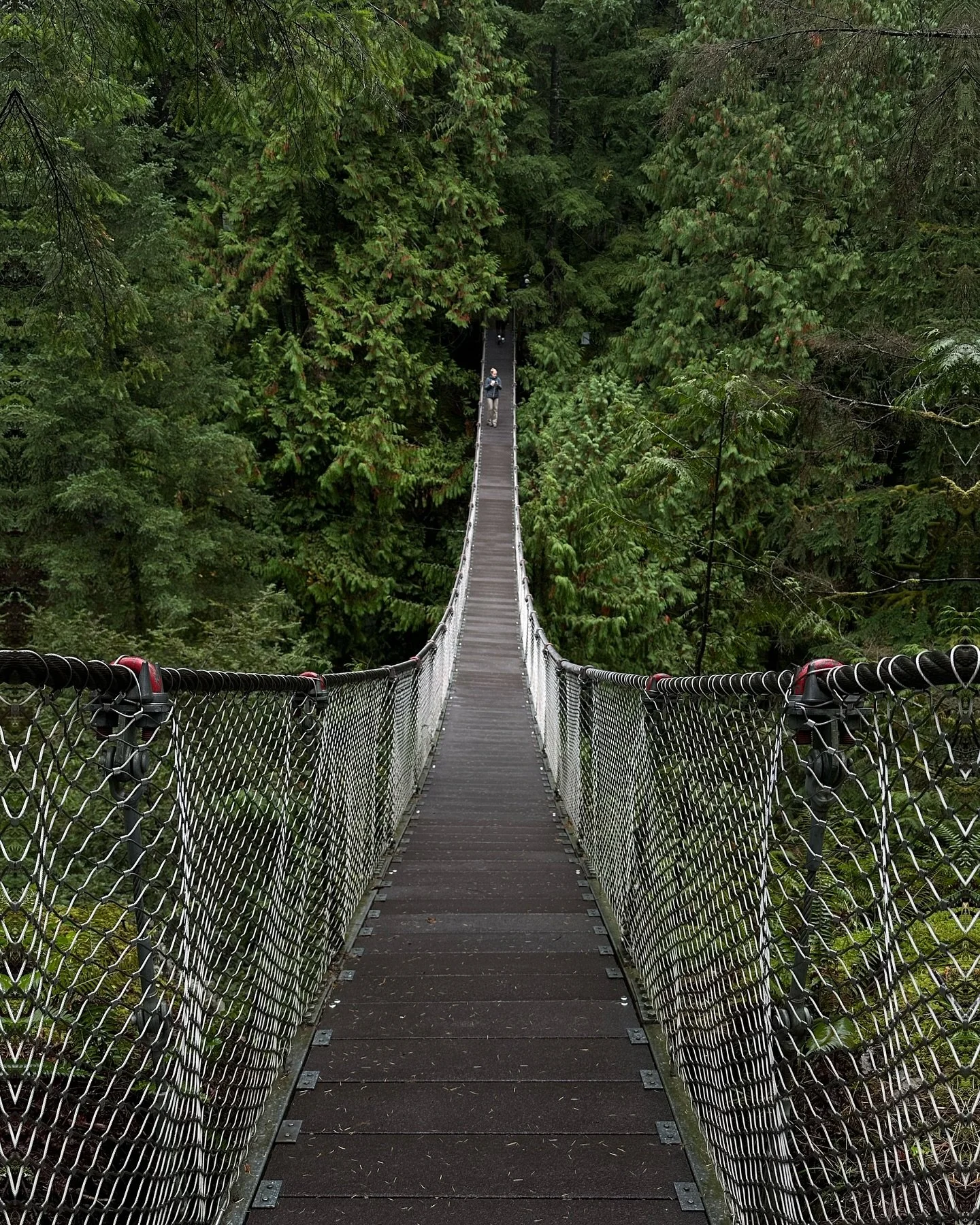 Exploring Canada, one step at a time 🇨🇦
Thank you @skippingsensations for these unforgettable experiences you’ve shared with us so far 🙏
#hiking #vancouver #northvancouver #friends #bc #britishcolumbia #nature #skippingsensations