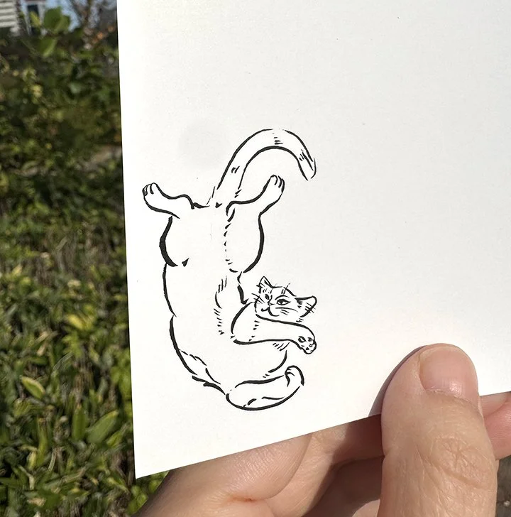 bluecat_back1 copy.jpg