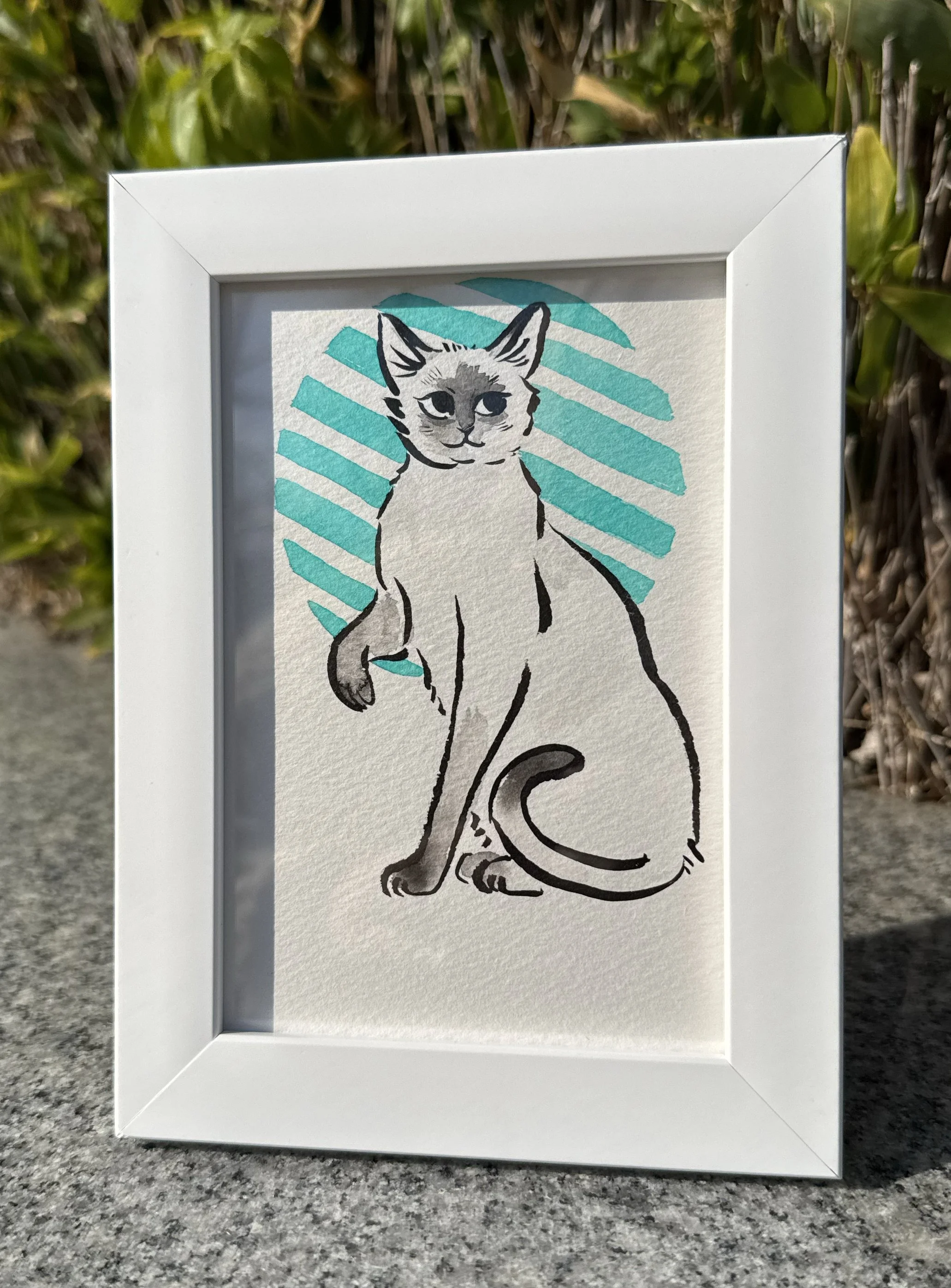 kittensiamese_frame1.jpg